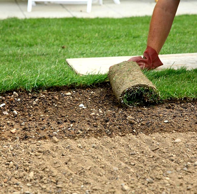 Hazır Çim, Hazır rulo çim, rulo cim