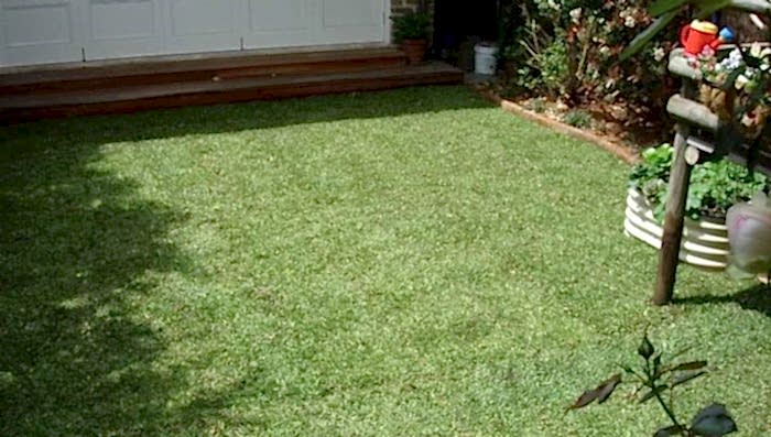 Bağcılar Hazır Rulo Çim Uygulamamız