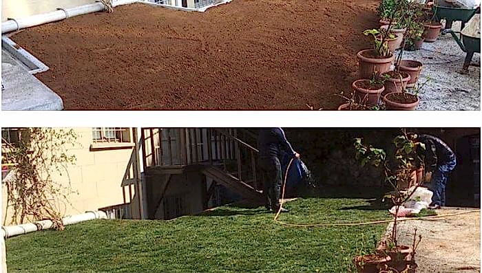 Bahçelievler Hazır Rulo Çim Uygulamamız