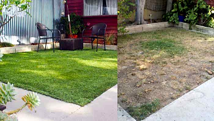 Bayrampaşa Hazır Rulo Çim