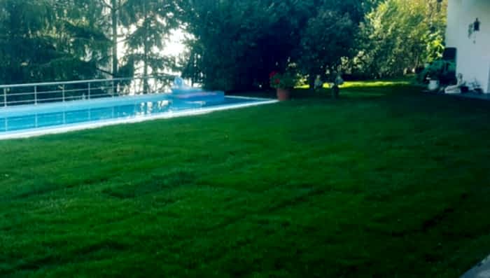 Çekmeköy Hazır Rulo Çim