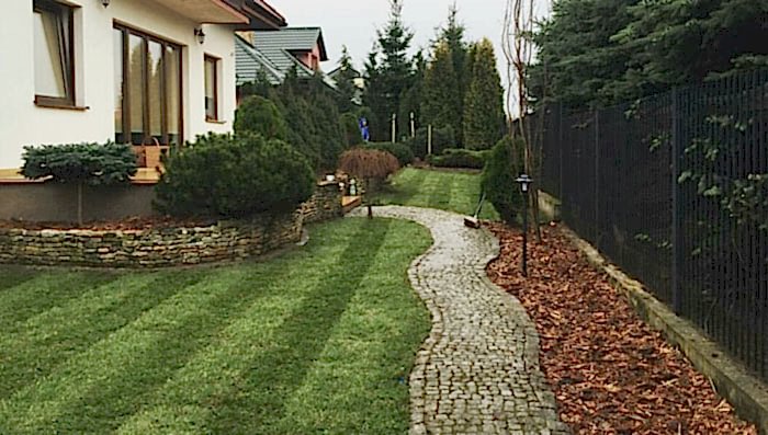 Pendik Hazır Rulo Çim